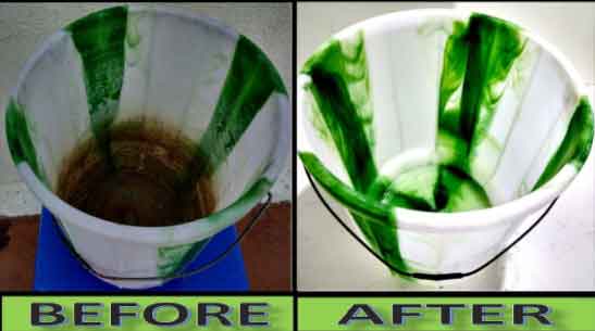 3 easiest ways to Clean Plastic Buckets Water Strains