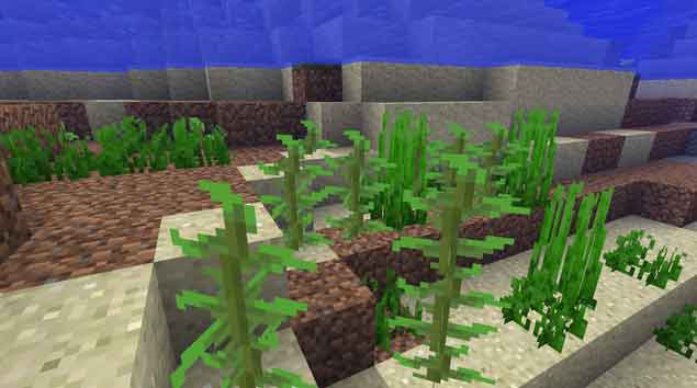 How to Get Sea Grass in Survival Mode