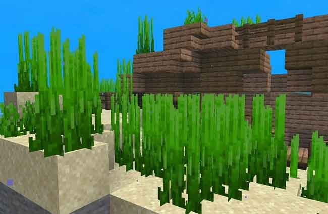 How to get Sea Grass in Minecraft-