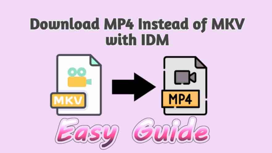 how to fix IDM downloads