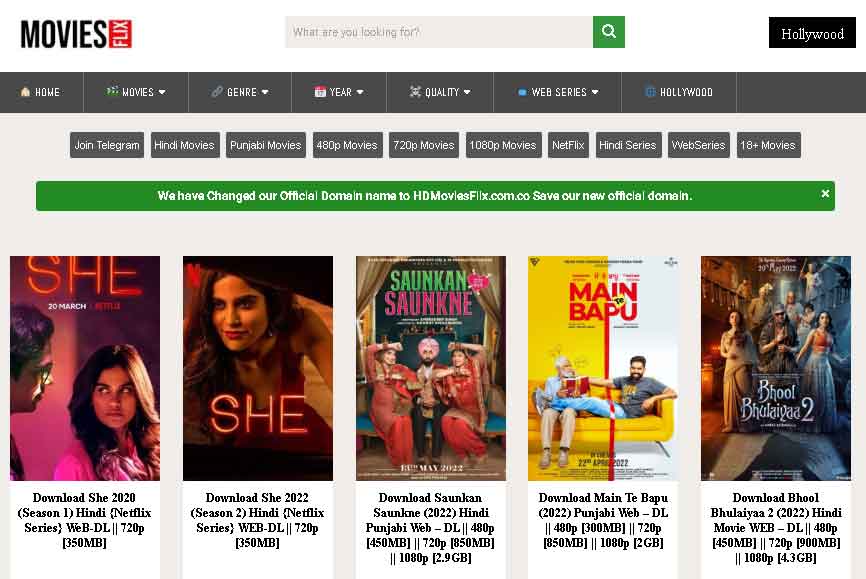 Download Hindi Movies from Websites