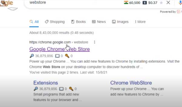 Search Webstore in the search bar and go to the first link