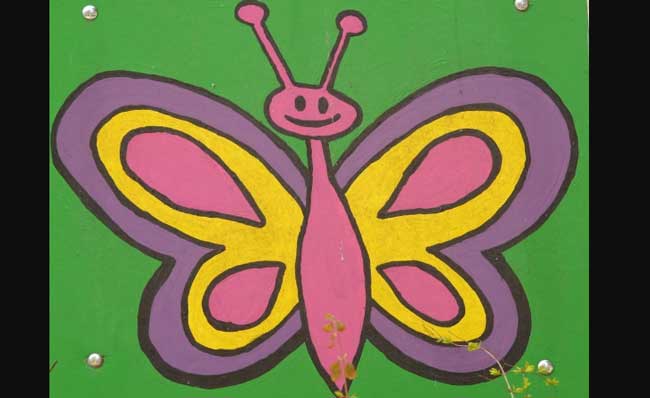 Reference images for Drawing a Butterfly easily