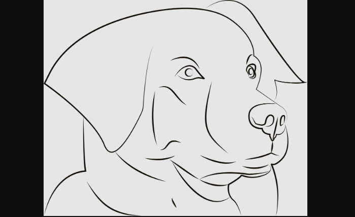 Draw a dog for beginners with step by step guide.