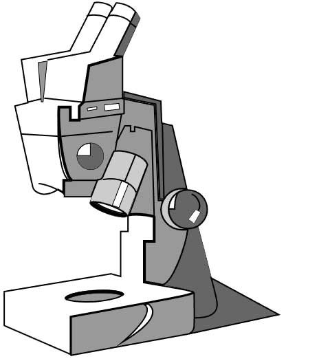 10 Reference Images for Drawing an Microscope for Beginners