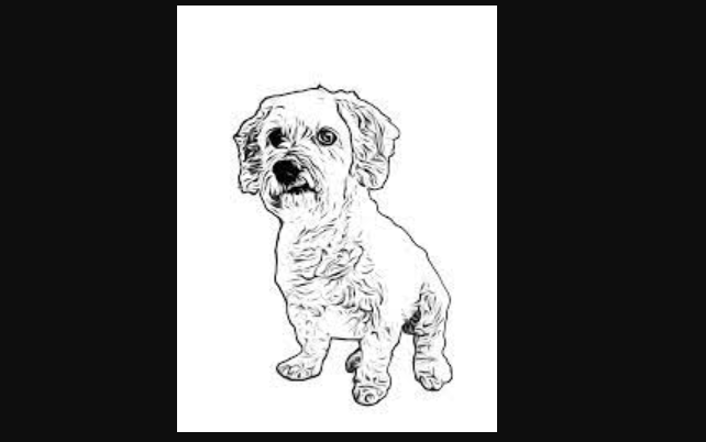Draw this dog picture for advance level drawing.