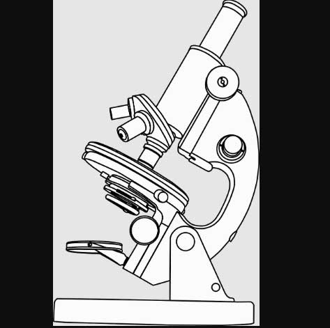 best way to draw microscope easily